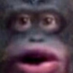 Meet your Posher, Ben